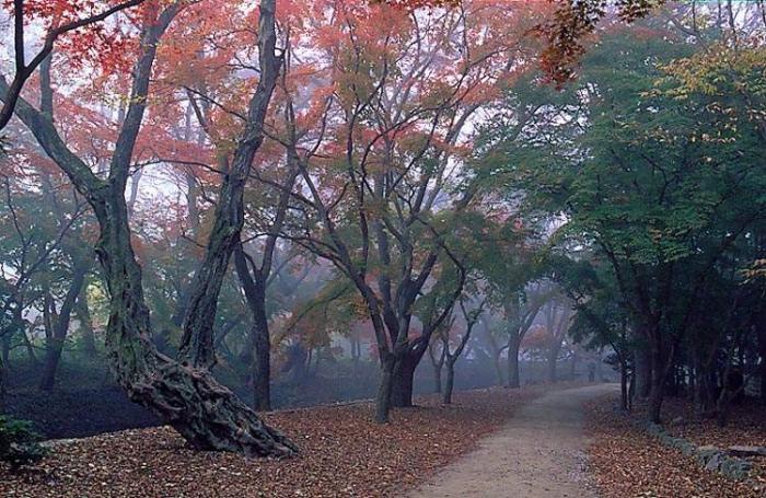 ����ũ��� ����